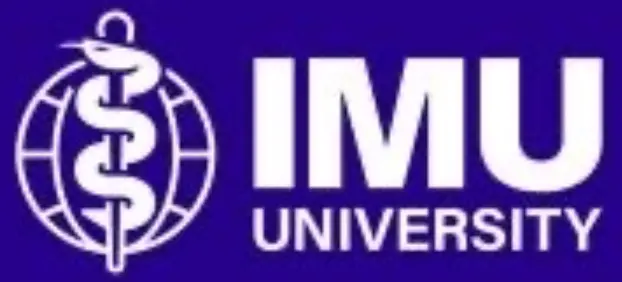 IMU